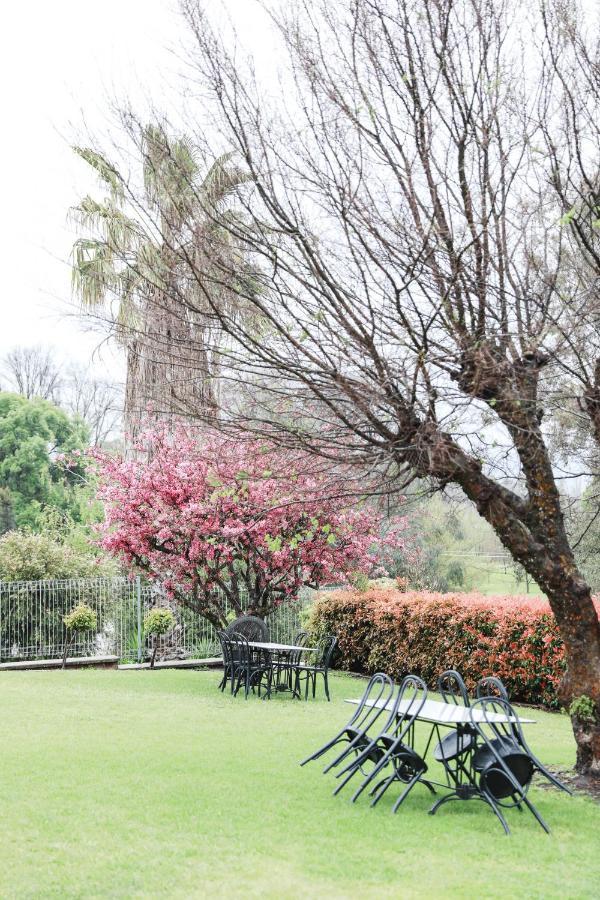 Harriet House Tumut Motel Dış mekan fotoğraf